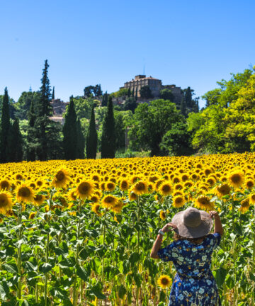 Visiter Vaucluse