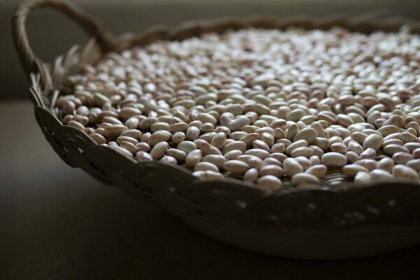 cassoulet toulousain