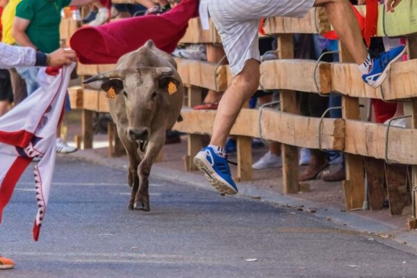 feria de nimes